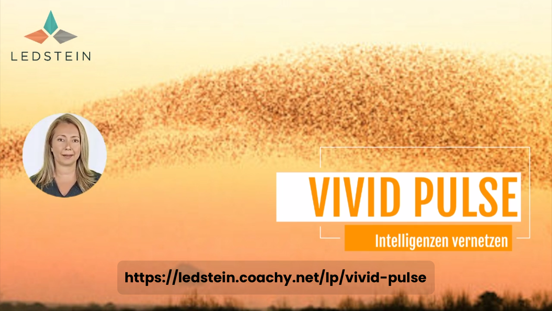 Read more about the article Online-Videokurs: VIVID PULSE – Intelligenzen vernetzen